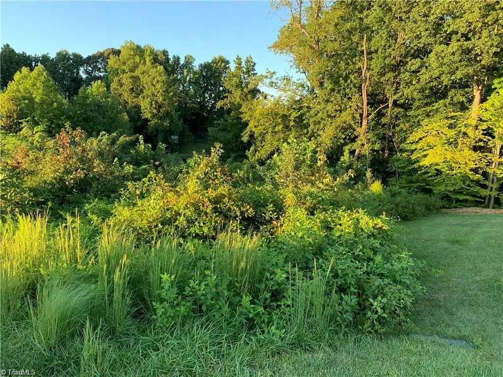 Trinity, NC 27370,Lot 12 Bellawood DR