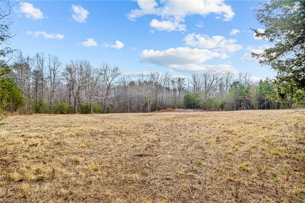 Belews Creek, NC 27009,0 Mustin Farm LN