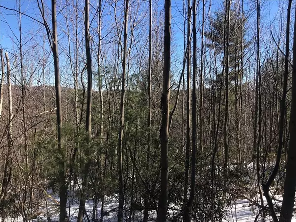 Purlear, NC 28665,TBD Fletchers Cove RD