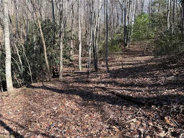 Purlear, NC 28665,Lot 222B Casey Mountain RD