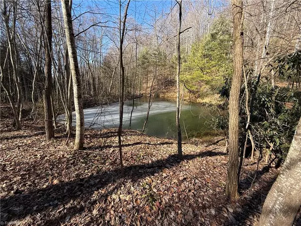 Purlear, NC 28665,Lot 222B Casey Mountain RD