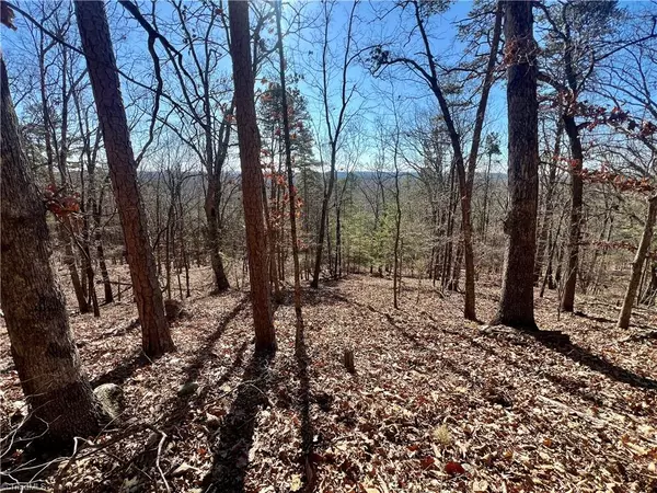 Denton, NC 27239,551 Boulder Ridge DR