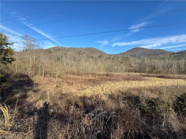 Moravian Falls, NC 28654,TBD NC Highway 16