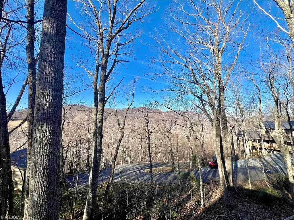 Todd, NC 28684,305 Laurel Mountain Estates DR