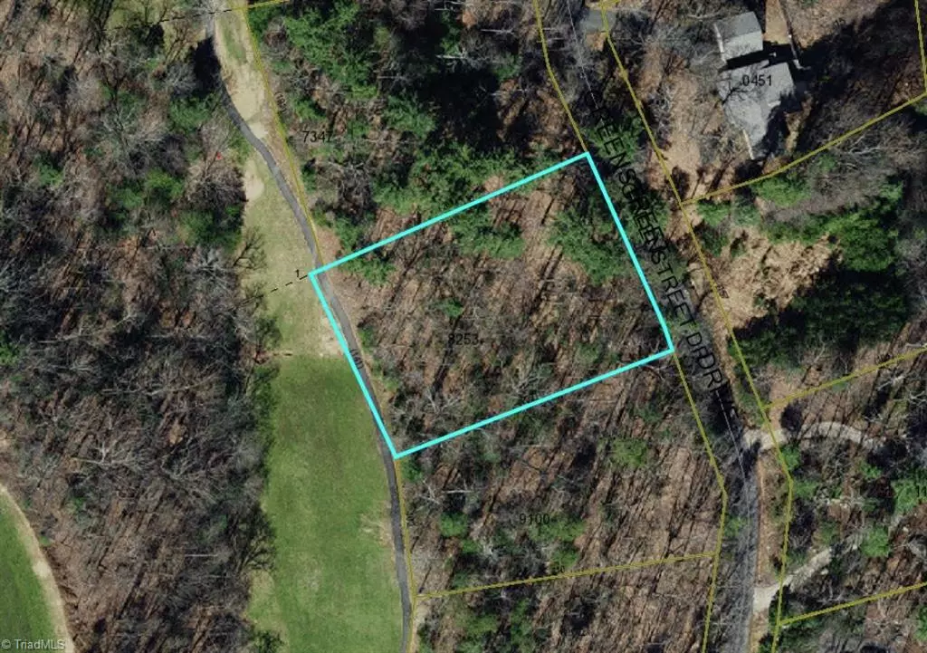 Traphill, NC 28685,Lot # 41 Greenstreet DR