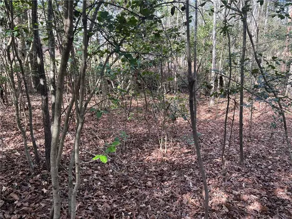 Millers Creek, NC 28651,Lot 29 Chase LN