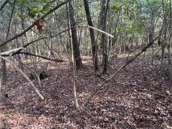 Millers Creek, NC 28651,Lot 29 Chase LN