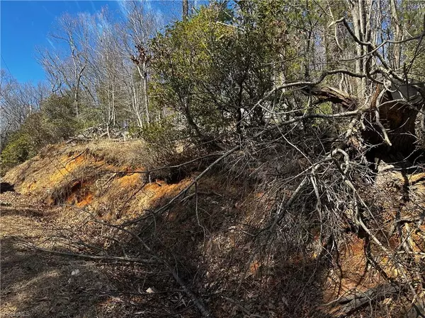 Millers Creek, NC 28651,tract 3 Timber Ridge RD