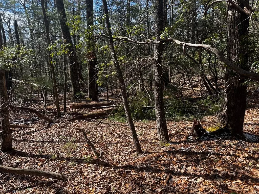 Millers Creek, NC 28651,tract 3 Timber Ridge RD