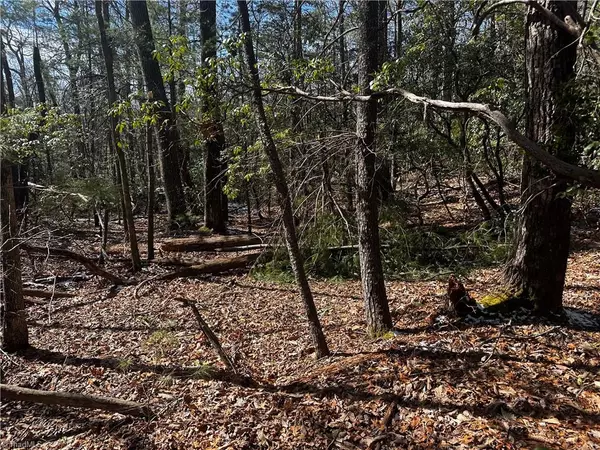 tract 3 Timber Ridge RD, Millers Creek, NC 28651