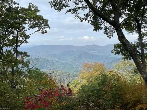 West Jefferson, NC 28694,TBD Lot #36 Crown Oak LN