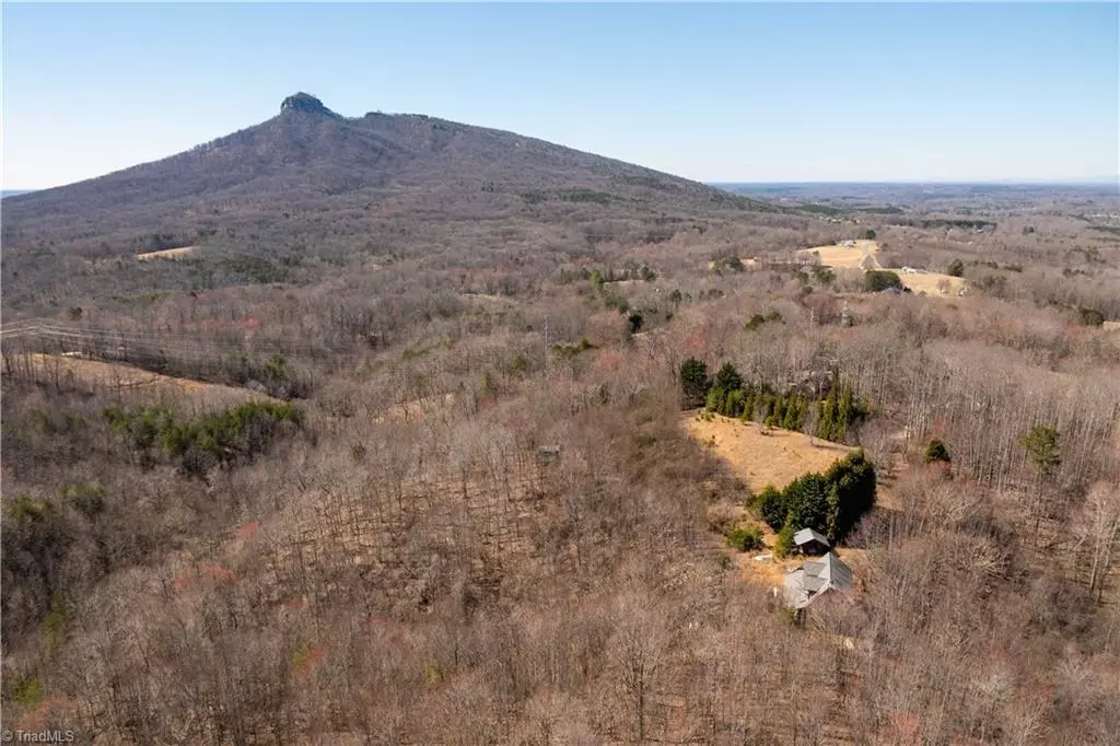 Pilot Mountain, NC 27041,222 Hummingbird LN