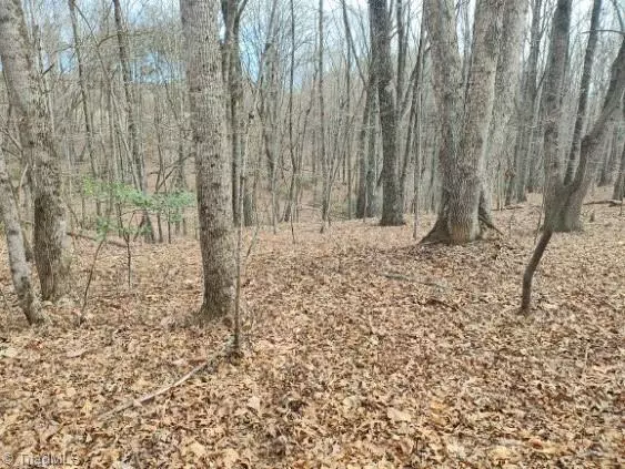 Walnut Cove, NC 27052,1075 Augusta Hicks RD