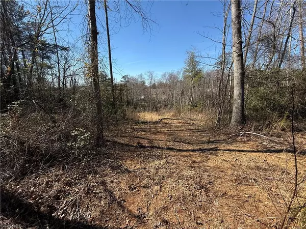 Roaring River, NC 28669,00 McKinley RD