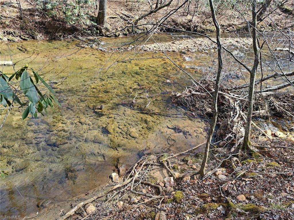 Cana, VA 24317,0000 Brushy Fork RD