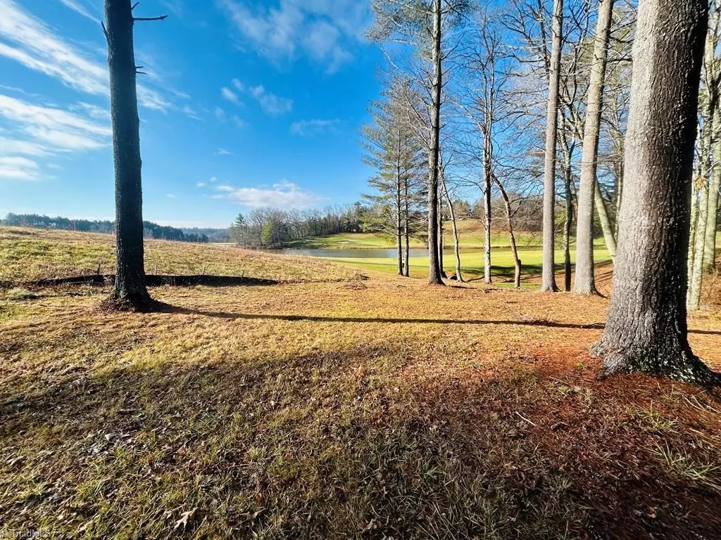 Laurel Fork, VA 24352,TBD Manor House DR