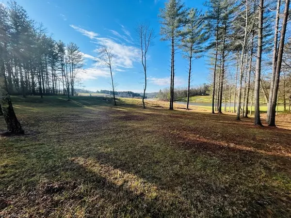 Laurel Fork, VA 24352,TBD Manor House DR