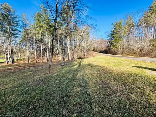 Laurel Fork, VA 24352,TBD Manor House DR