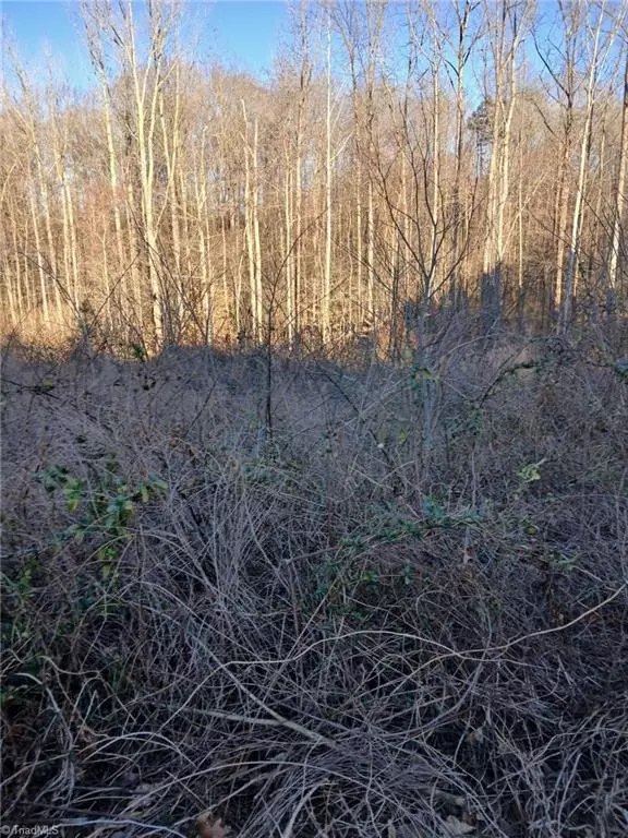 Thomasville, NC 27360,188 Bay Tree LN