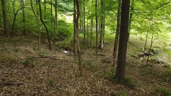 Asheboro, NC 27025,Lot 35 Fox Ridge RD