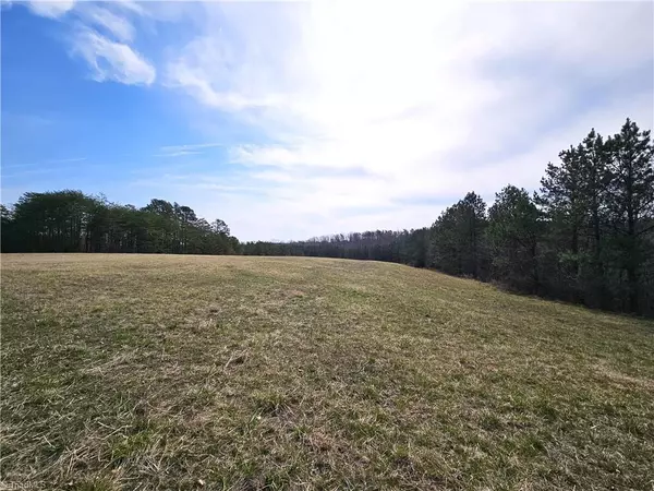Rural Hall, NC 27045,xx 9.91ac lot 1 Payne RD