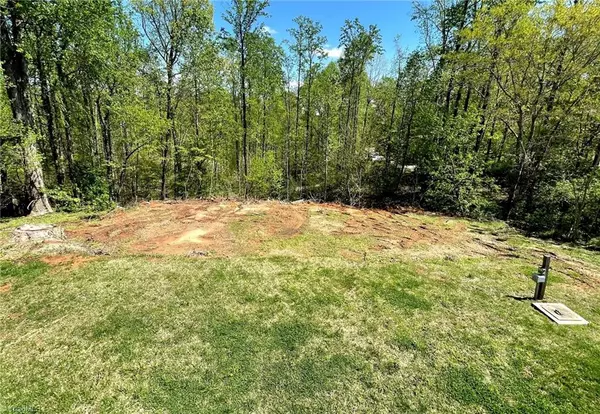 Rural Hall, NC 27045,6917 Blenheim CT