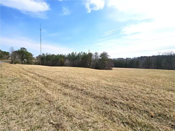 Rural Hall, NC 27045,xx 9.91ac lot 2 Payne RD