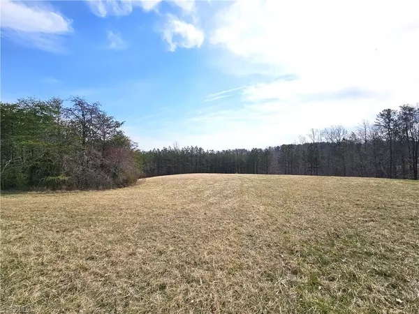 xx 9.91ac lot 2 Payne RD, Rural Hall, NC 27045