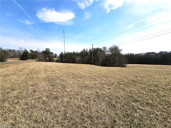 Rural Hall, NC 27045,xx 9.91ac lot 2 Payne RD