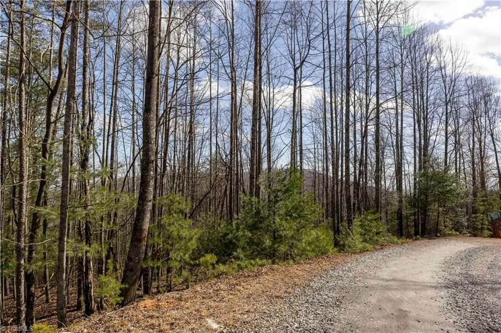 Mcgrady, NC 28649,TBD Fox Squirrel CIR