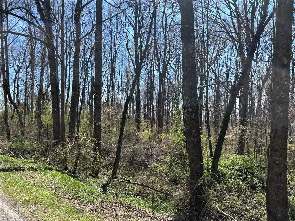 Hamptonville, NC 27020,0 Old 421 Yadkin RD