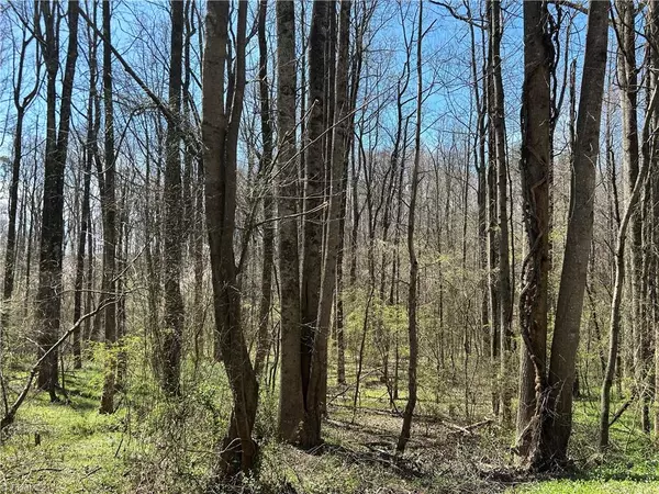 Hamptonville, NC 27020,0 Old 421 Yadkin RD