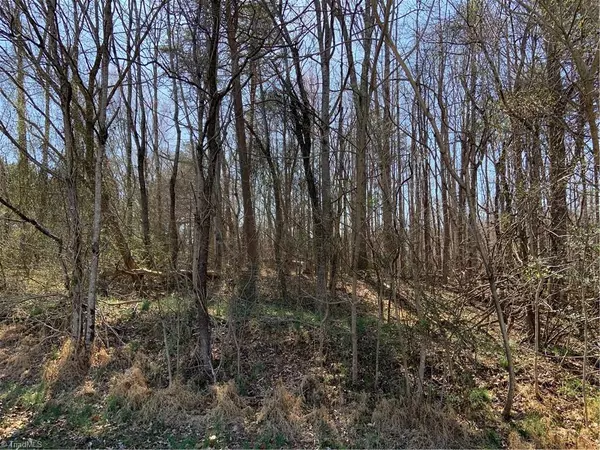 Madison, NC 27025,228 Sitting Rock DR