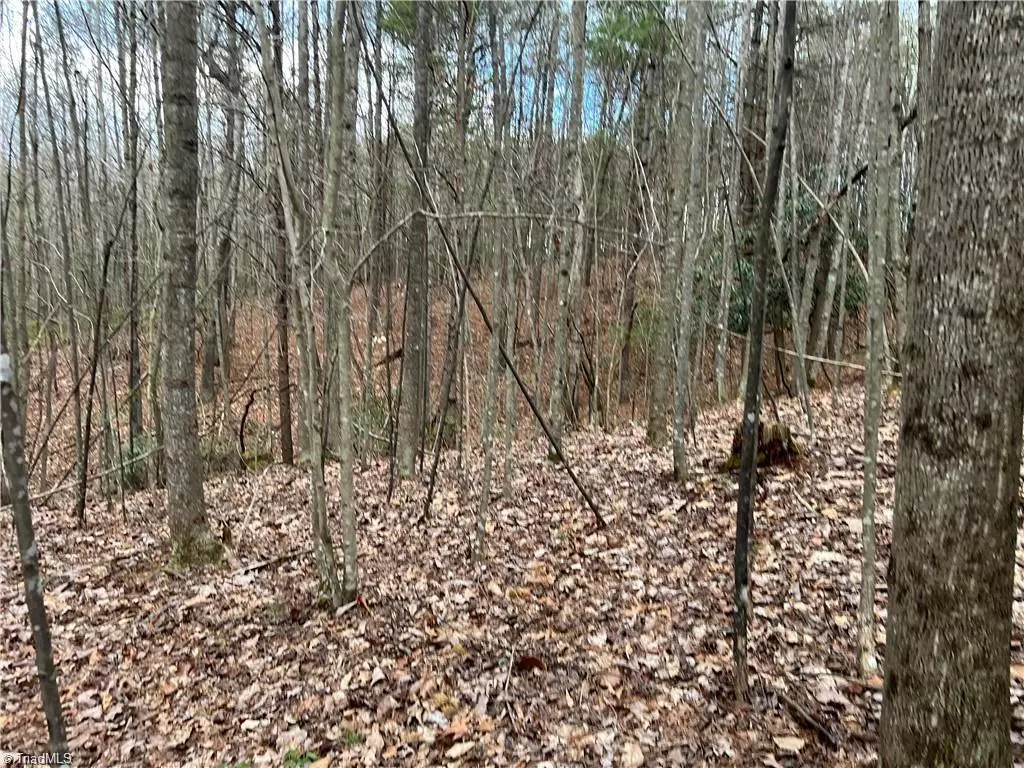 Dobson, NC 27017,Lot 11 Fisher Valley RD