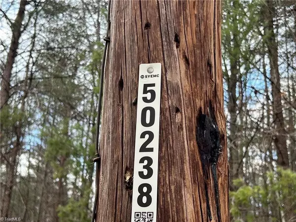 Dobson, NC 27017,Lot 11 Fisher Valley RD