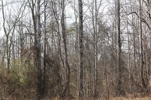 0 Jones Chapel RD, Reidsville, NC 27320