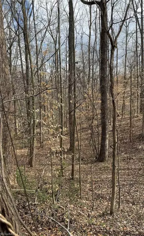 Winston-salem, NC 27127,3061-3067 Ridgemeadow DR