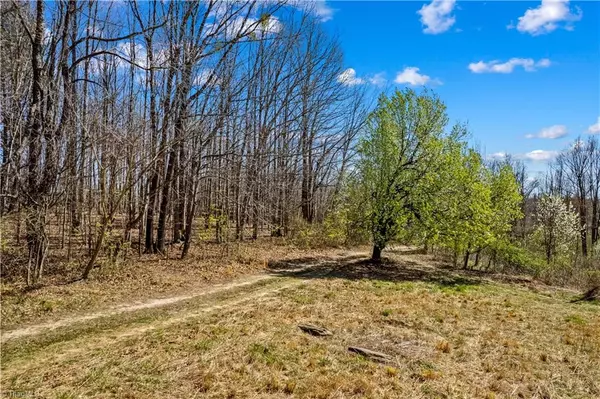 Roaring River, NC 28669,1643 White Plains RD