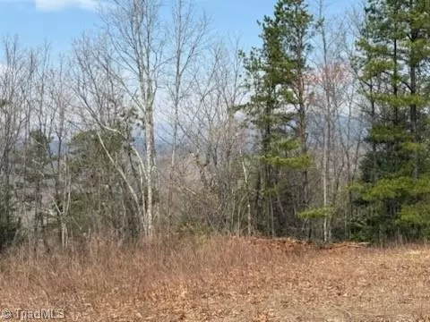 Purlear, NC 28665,TBD White Oak RD