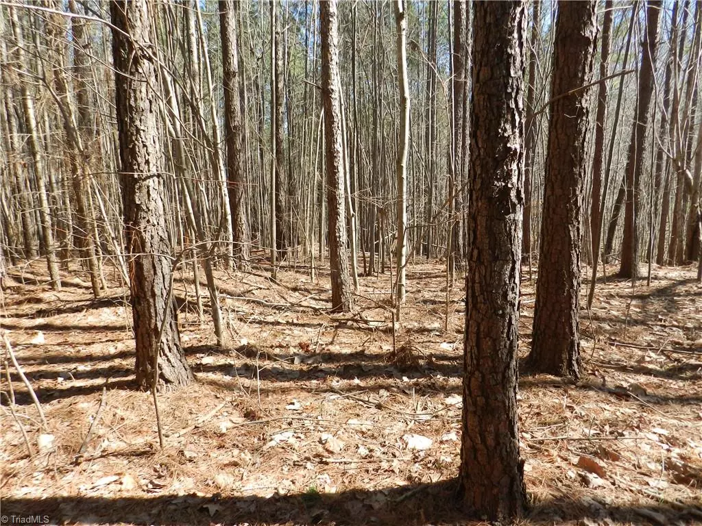 Asheboro, NC 27205,TBD Oakland AVE
