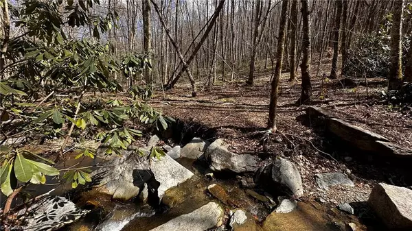 Banner Elk, NC 28604,000 NC Highway 194