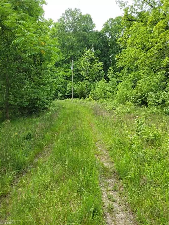 Snow Camp, NC 27349,8361 Holman Mill RD