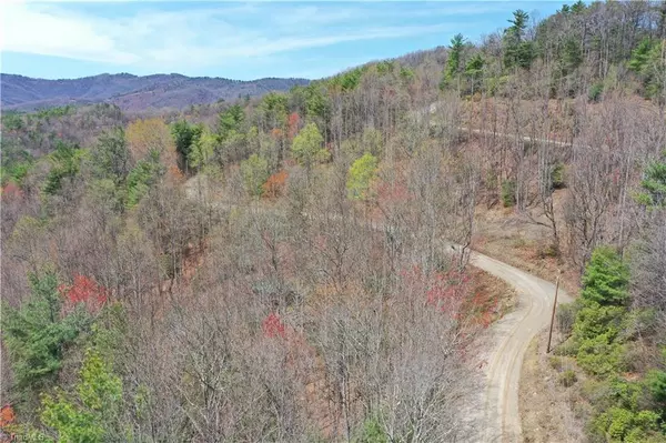 Purlear, NC 28665,000 Big Ivy RD