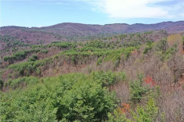 Purlear, NC 28665,000 Big Ivy RD