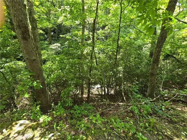 Ararat, VA 24053,125 Ahart Ridge RD #100
