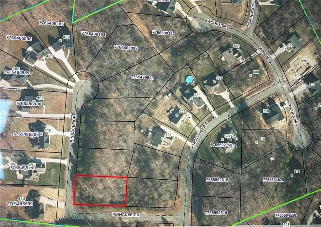 Randleman, NC 27313,0 Pinnacle DR