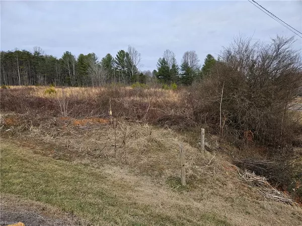 Mount Airy, NC 27030,00 Blue Hollow RD #5