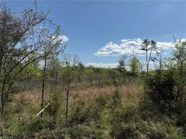 0 GEORGIA RD, Yadkinville, NC 27055