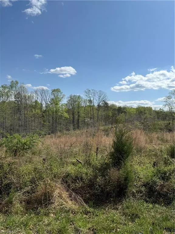 Yadkinville, NC 27055,0 GEORGIA RD