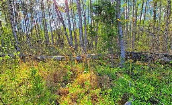 Walkertown, NC 27051,5091 Donna Marie CT